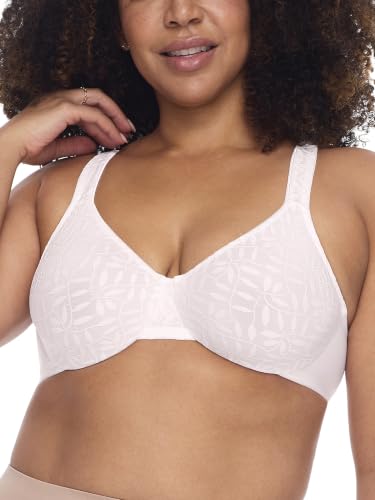 Olga Women's Sheer Leaves Lace Full-figure