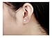 14K Rose Gold Plated Stainless Steel Stud Earrings, A Pair Triangle Tiny 5mm Stud Earrings Ge312