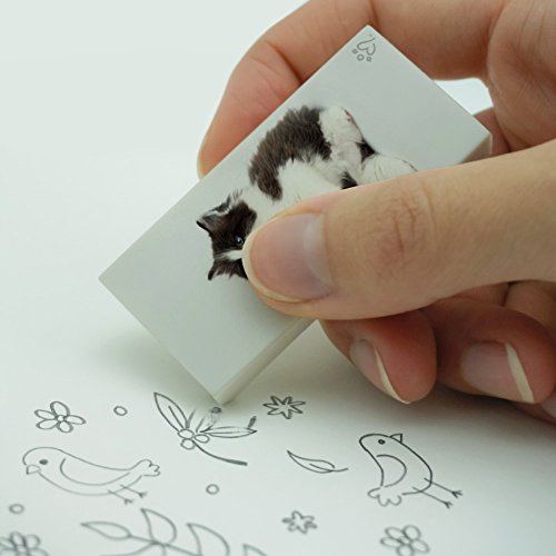 Persian Kitten Cat Black White Eraser Set of 2