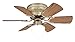 Westinghouse 78603 Petite 6-Blade 30-Inch 3-Speed Hugger-Style Ceiling Fan with Light, Antique Brass