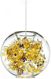 CHXDD Tangle Globe Wednesday Pendant Light/g9 , 220-240V