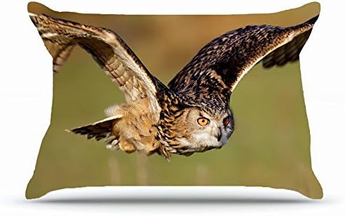Eaeacd Queen Pillowcase Size 20 x 30 Inches Cotton Pillowcases Decorative Pillow Cover Case with Hidden Zipper Decor Cushion Covers - Animals Birds Owls animals birds predator raptor flight fly feathe