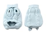 Water & Wood Light Blue Turtleneck Knitting Pet Dog Cat Clothing Sweater Coat XXS
