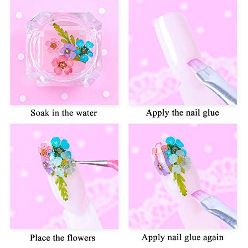 editTime 36 PCS Nail Dried Flowers Daisy Hydrangea Macrophylla and Leaf for Manicure Natural Real Dry Flower Kit 3D Nail Art Sticker Flower Beauty Nail Stickers