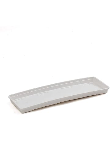 Platillos para plantas | Amazon.es