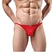 Sunward Men's Solid Fashion Brief Men Ultra-Thin Breathable Briefs Sexy Underwear