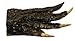 Authentic 2-3 Inch Real Gator Foot