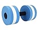 Leegoal TM 1 Pair Water Aerobic Exercise Foam Dumbbells Pool Resistance, Water Fitness Exercises Equipment for Weight Loss,Blue