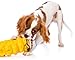 Hartz Double Play Pal Water Bottle Dog Toy