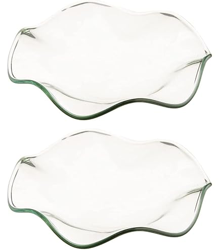 Lot 2 Plats Chauffants Verre Rond – Accessoire Diffuseur Huile & Cire Parfumée – Facile à Nettoyer