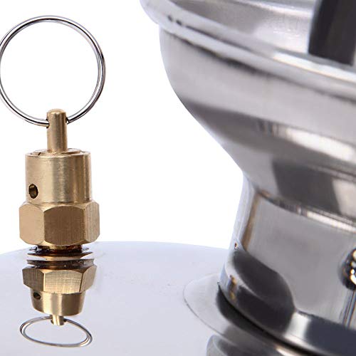 FLYTOP Stainless Steel Sprayer 2Gal Law and Garden Series for Extended Life and Durability