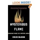 The Mysterious Flame: Conscious Minds in a Material World