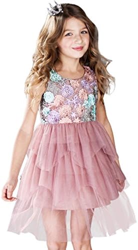 CNMUDONSI Kids Dresses For Girls Pink Lace Floral Party Dress 3-12 (F26021-4)