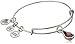Alex and Ani January Birth Month Charm with Swarovski Crystal Rafaelian Silver Bangle Bracelet