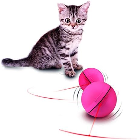 BNG-The Best Interactive Cat Toy Ball with LED
