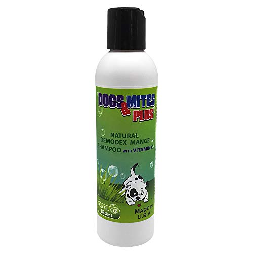 dog mite shampoo