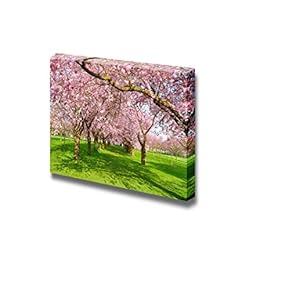 Scenic Park with Rows of Blossoming Cherry Trees in Spring on a Fresh Green Lawn - Canvas Art Wall Art - 12" x 18"