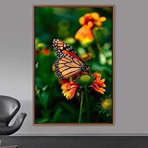 signwin Framed Canvas Wall Art Butterfly Expressive Farmhouse/Country...