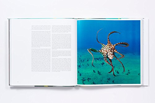 The Life & Love of the Sea