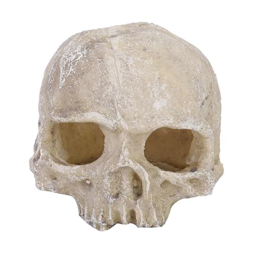 Pssopp Aquarium Skull Ornaments Resin Artificial Head Skeleton Decoration Fish Tank Decorative Hiding Cave Landscape Terrarium Reptile Ornaments