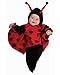Rubie's Deluxe Baby Bunting, Lady Bug Costume, 0 to 9 Months