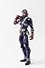 TAMASHII NATIONS Bandai S.H. Figuarts Kamen Rider Hibiki Action Figure