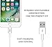 ZiBay 7 Lightning Cable 5 ft., Plus a 3.1A 5W Dual USB Travel Wall Charger with a Foldable Plug for iPhone 7, 6/6s, 5/5s, iPad Minis, iPad Airs, iPod Touch, iPods, White