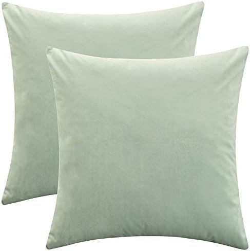 Rythome Set of 2 Comfortable Throw Pillow Covers for Bedding, Decorative Accent Cushion Sham Cases for Couch Sofa, Soft Solid Velvet with Zipper Hidden - 20"x20", Turquoise Green