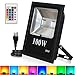 RGB LED Flood Lights, T-SUNRISE 100W Super Bright Outdoor Security Wall Light, Remote Control, RGB Color Changing IP65 Waterproof with US Plug for Garden, Yard, Warehouse Sidewalk