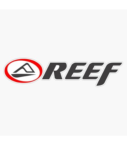 Amazon.com: Reef Surfing Brand Vinyl Sticker Waterproof Decal