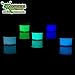 Glominex AT955 Ultra Glow in the Dark Paint - Assorted Colors (1/2 Fluid Ounces) - 5ct