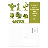 Succulents Potted Plant Cactus Pattern Poetry