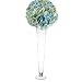 CYS Excel Pack of 6, 24 Inch Tall 4.5 inch Open Glass Trumpet Vase, Tapered Design Center Piece, Floral Display For Events & Weddings (Clear).
