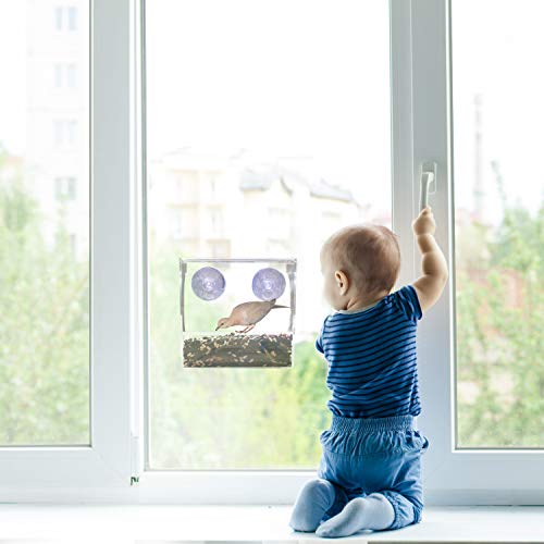 Gray Bunny GB-6895 Clear Window Bird Feeder, Compact Wild Birdfeeder with Drain Holes, Super Strong Suction Cups, Transparent Viewing, Covered, High Seed Capacity, Rubber Perch - Thumbnail 5