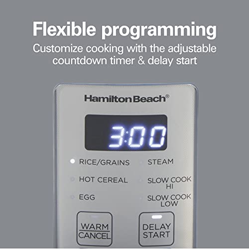 Hamilton Beach Digital Programmable Rice Cooker & Food Steamer,12 Cups