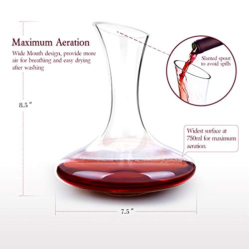 2 KOIOS+Decanter+100+Lead+Free+Decanter+Accessories