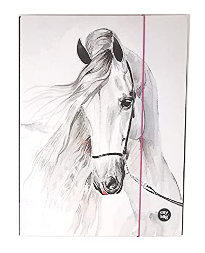 Theonoi Cute Horse Motif Laminated Collector's Box/Notebook Box/Drawing Box/Document Organiser with Elastic Band (Horse 4A)