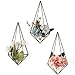 Mkono Wall Mounted Air Plant Holder Modern Geometric Planter Hanging Tillandisia Container Himmeli Home Decor, Bronze, 3 Packs