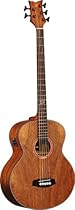 Ortega Guitars D3NC-5 Deep Series Three 5-String Non-Cutaway Acoustic Bass with Paldao Top/Body, Gloss Finish
