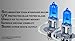 H3 55w 12V ABL 1Pair Light Xenon HID Super White Light Bulbs Replace
