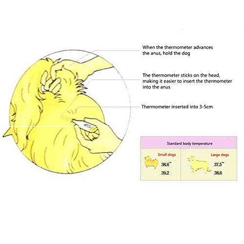 Digital Pet Thermometer,Fast Rectal and Oral Thermometer for Dogs, Cats, Horses, Pets and Livestock,Body Temperature Clinical Professional Detecting Pet Veterinary Thermometer