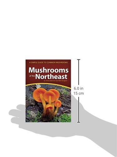 Mushrooms of the Northeast: A Simple Guide to Common Mushrooms (Mushroom Guides) - Thumbnail 2