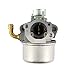 XA XtremeAmazing Carburetor for Briggs & Stratton 591299 798650 698474 791991 698810 698857 698478 694174 690046 693751 Lawn Mower Carb