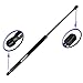 One Front Hood Gas Charged Lift Support for 2006-2009 Pontiac Torrent, 2007-2009 Suzuki XL7. Only 1 Support Required. WGS-320-A-1