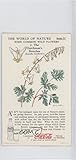 The Dutchman's Breeches (Trading Card) 1930s Coca-Cola The World of Nature Series IV: Some Common Wild Flowers #2