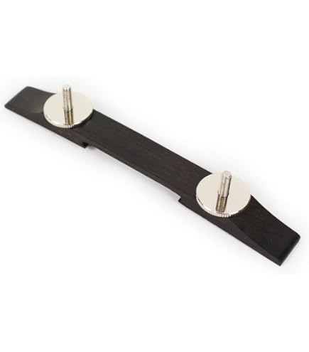 Amazon.com: Allparts Gretsch Space Control Bridge Chrome