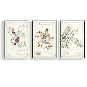 Floating Framed for Living Room Bedroom Vintage Bird...