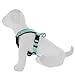 Pawtitas Reflective Dog Harness Padded Dog Harness Provides Comfort Control for a Walk or Running Great Pet Accessories Dog Vest S Small Teal Dog Harness