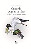 Canards, cygnes et oies d'Europe, d'Asie et d'Amérique du nord by 