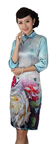 AvaCostume Women's Chinese Traditional Hanfu Qipao Standing Collar Dress